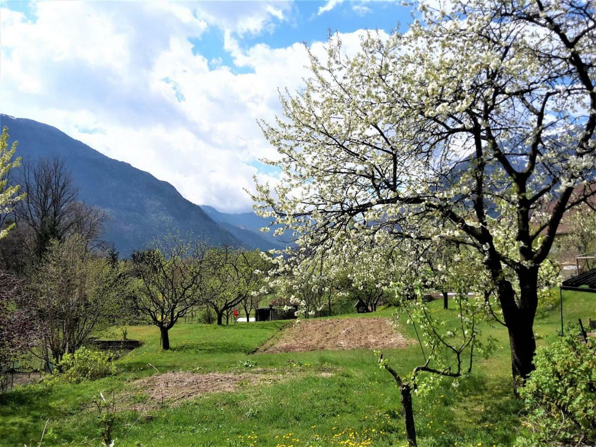 Bovec Holiday House エクステリア 写真