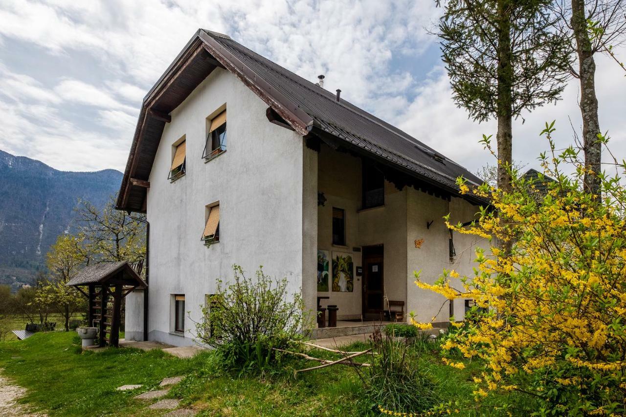 Bovec Holiday House エクステリア 写真