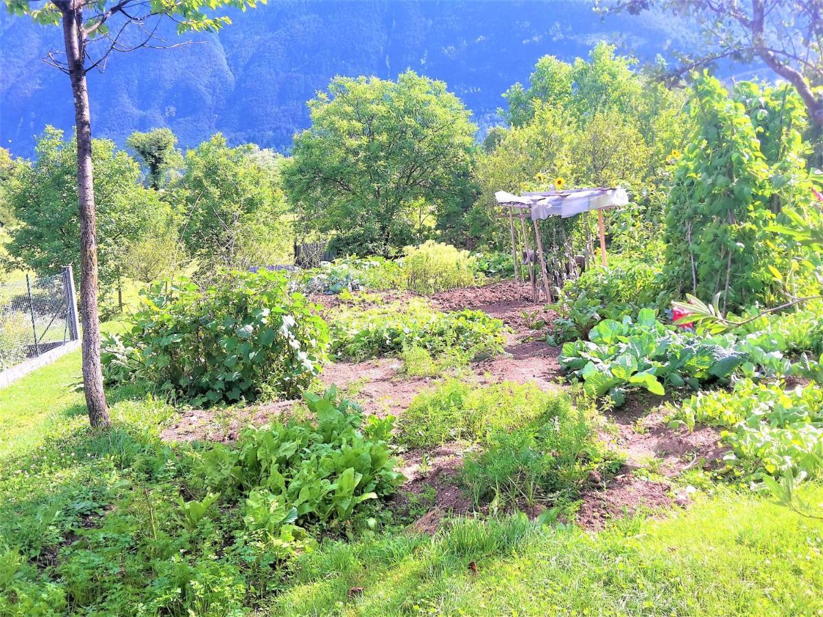 Bovec Holiday House エクステリア 写真